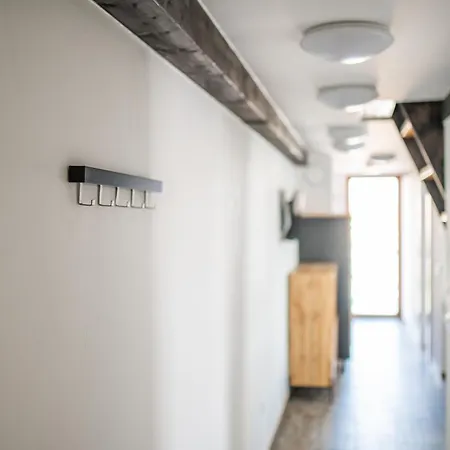 Eagle View טיסנו